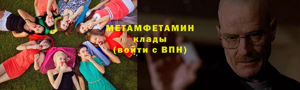 прущие грибы Богданович