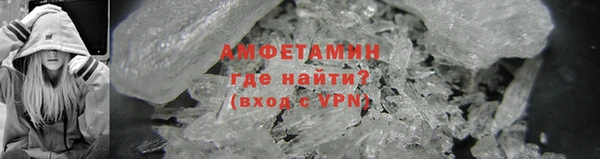 прущие грибы Богданович