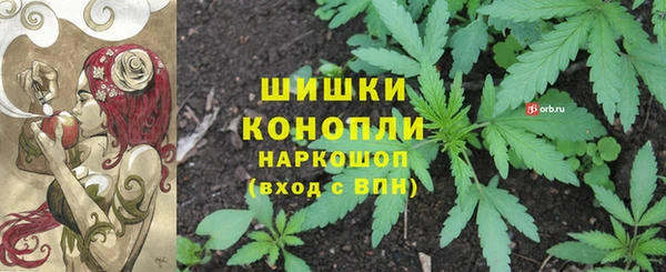 МДПВ Богородицк