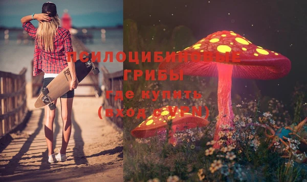 прущие грибы Богданович