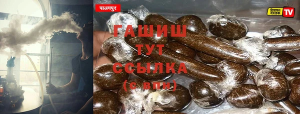 прущие грибы Богданович