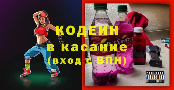 прущие грибы Богданович