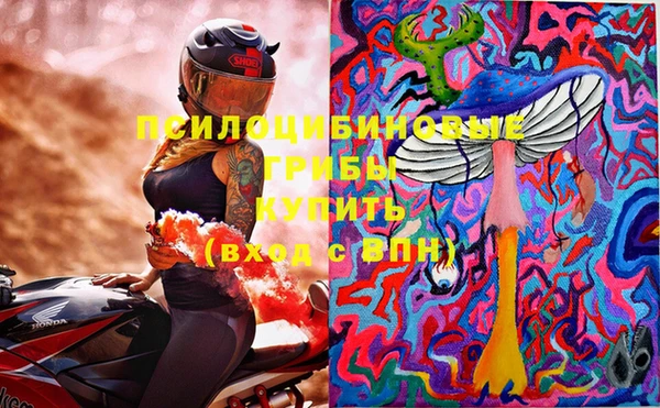 прущие грибы Богданович