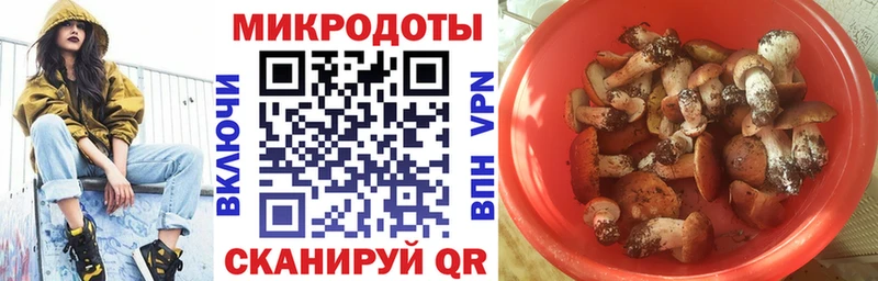 Галлюциногенные грибы Cubensis Купить где Правдинск
